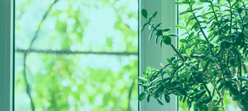 In-House vs Outsourcing Software Development