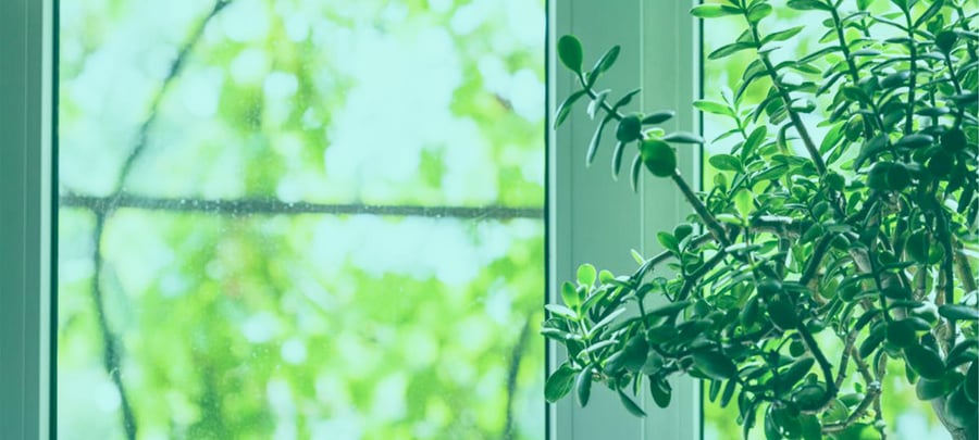 In-House vs Outsourcing Software Development