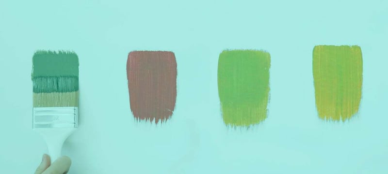 Paint swatches