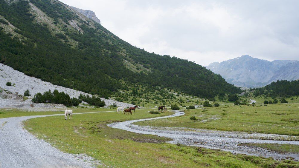 Horses grazing between mountains