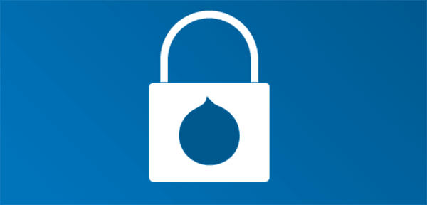 Why Is Drupal Secure? image