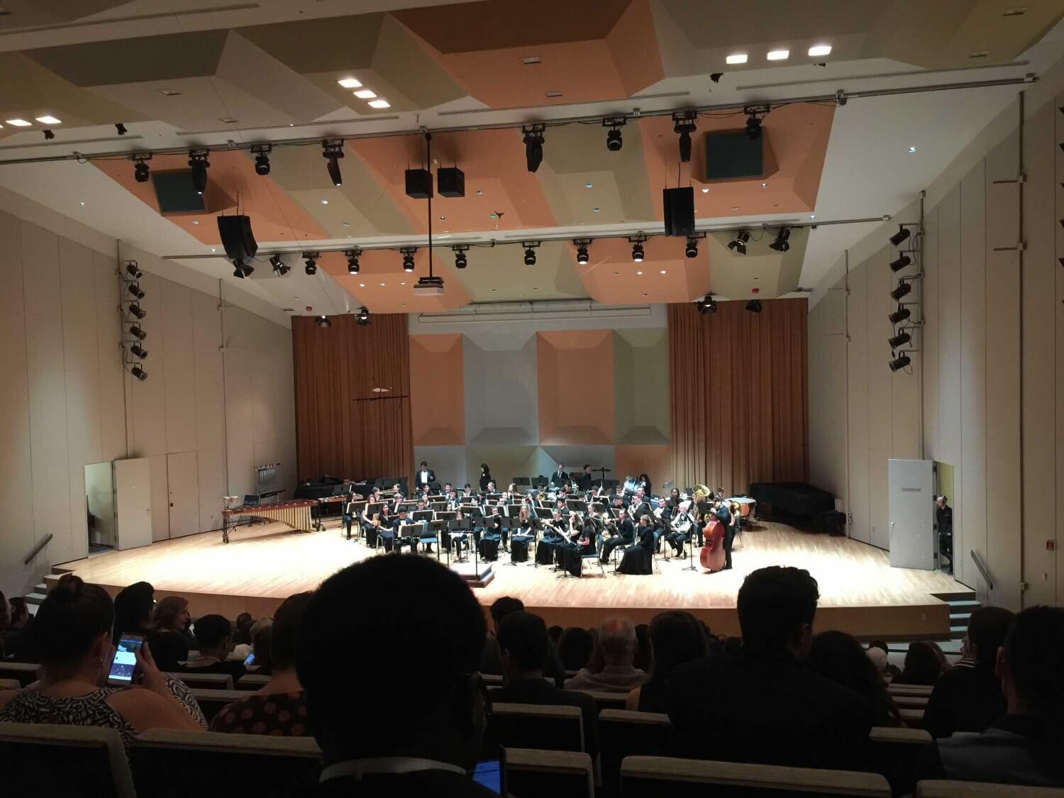 Picture of a classical orchestra