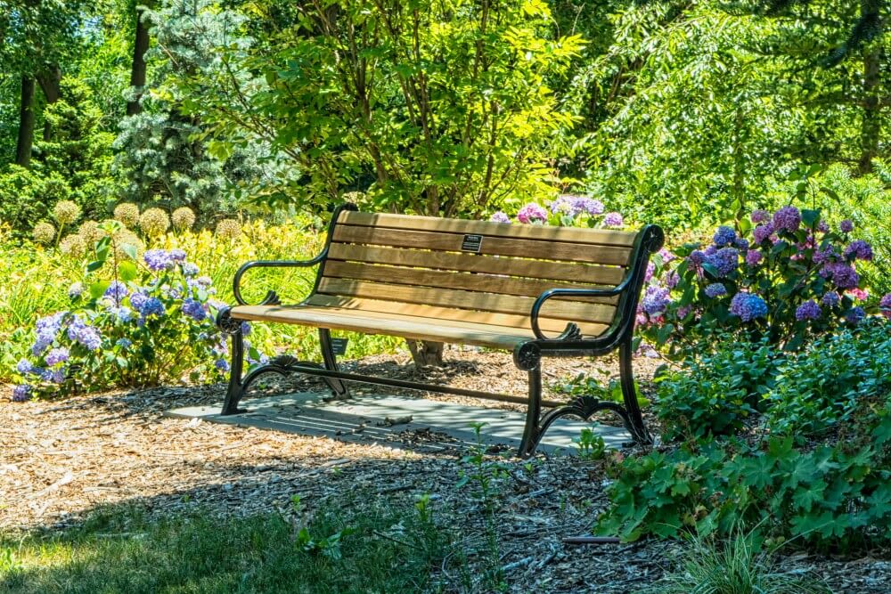 A park bench