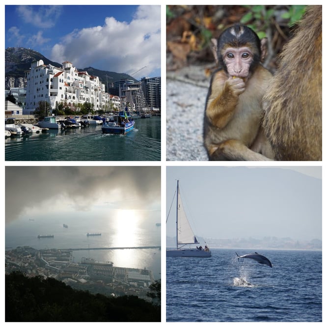 "Gibraltar Rock", "Dolphins", "Spanish Monkey"