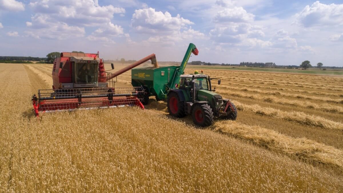 A tractor on fields of grain
