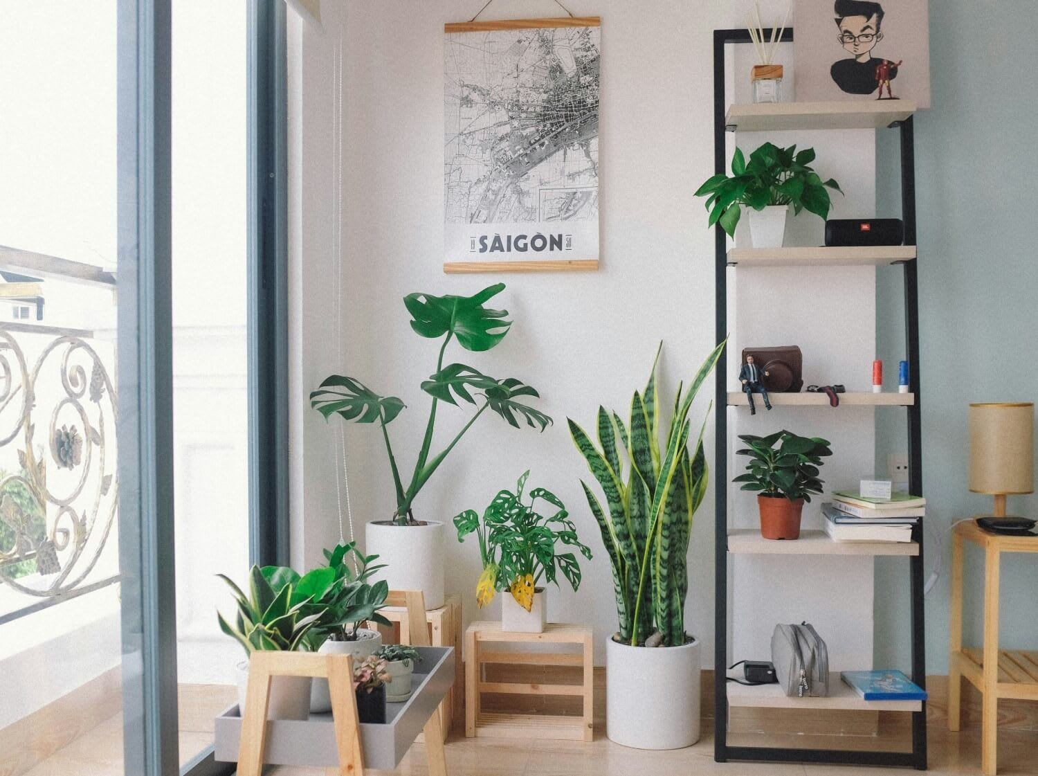 a nice background with plants, a map, and some other items