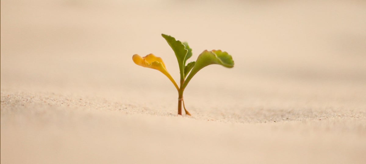 Fixing What's Broken in Software Development | X-Team