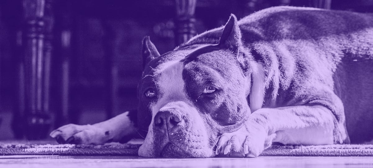 How to Address Rudeness in the Remote Workplace