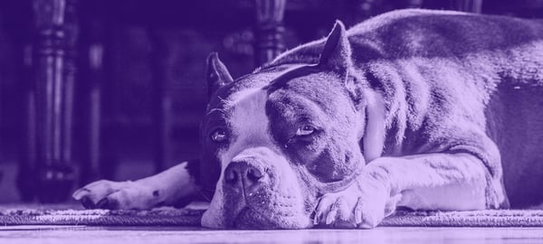 Tips to Counter Rudeness in the Remote Workplace