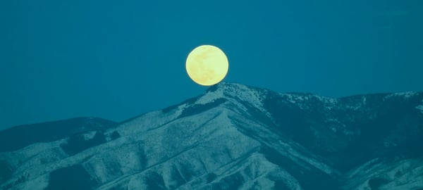 Taoism and Software Engineering: Unexpected Lessons | X-Team