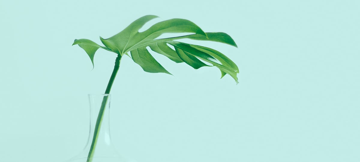 Digital Minimalism for Software Engineers | X-Team