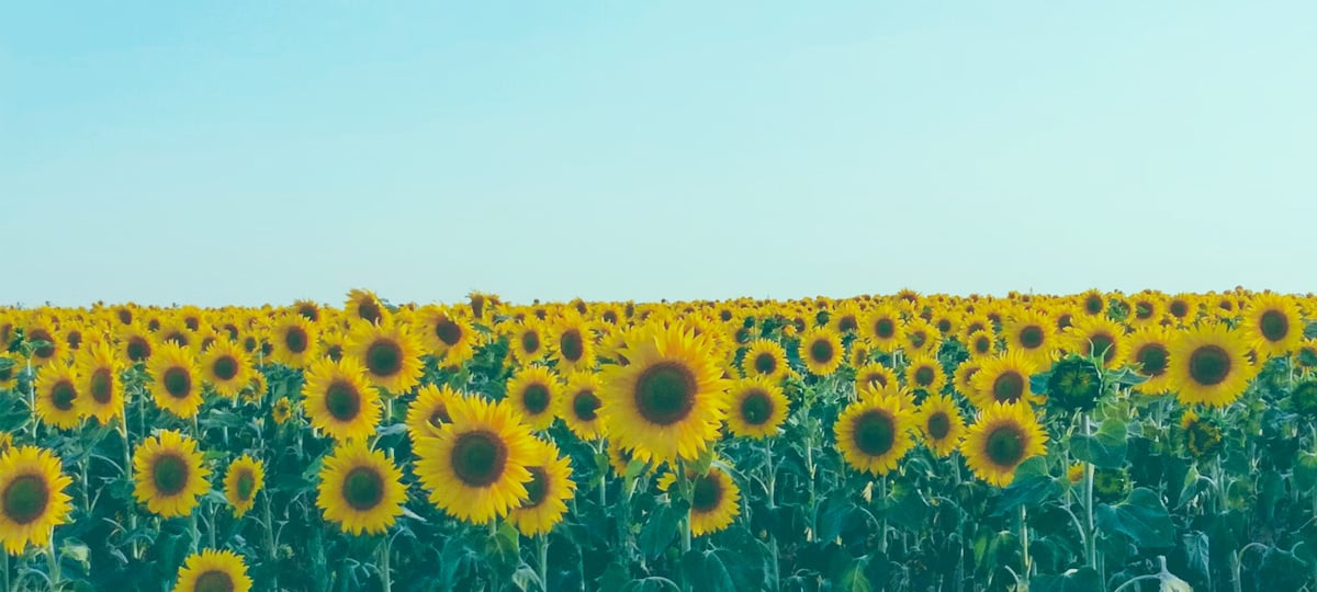 Staying Cheerful When Everything Feels Hard | X-Team