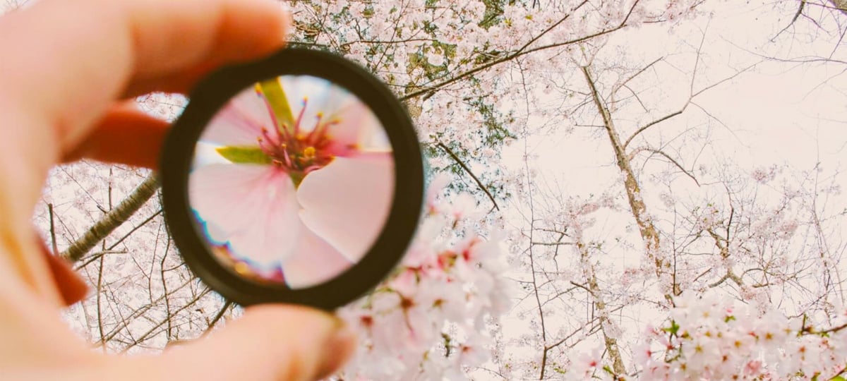 Paying Attention to the Right Things at Work | X-Team
