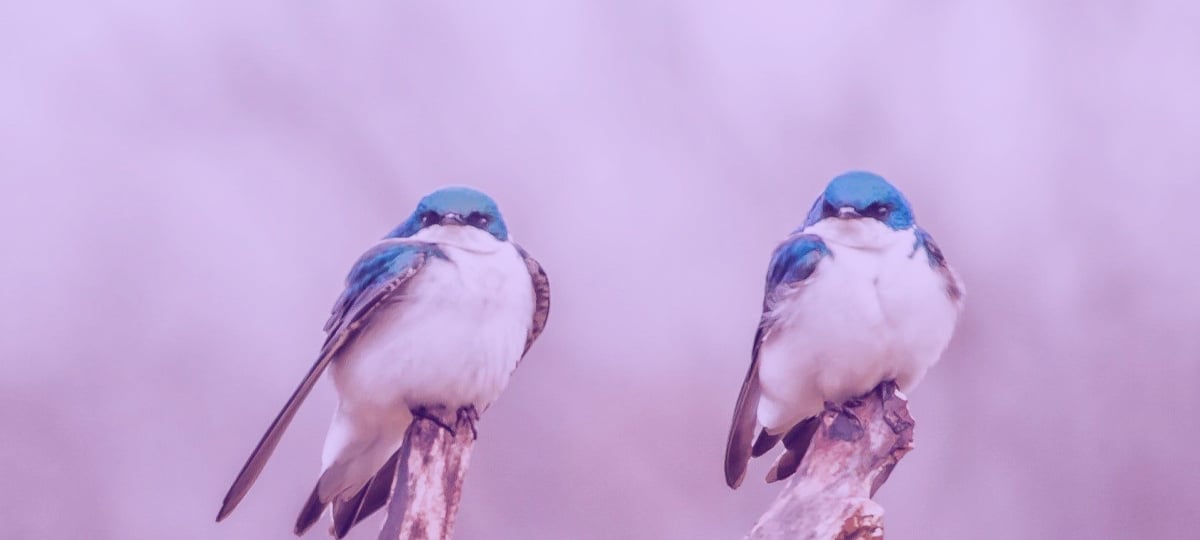 Pair Programming: When It's Worth the Effort | X-Team