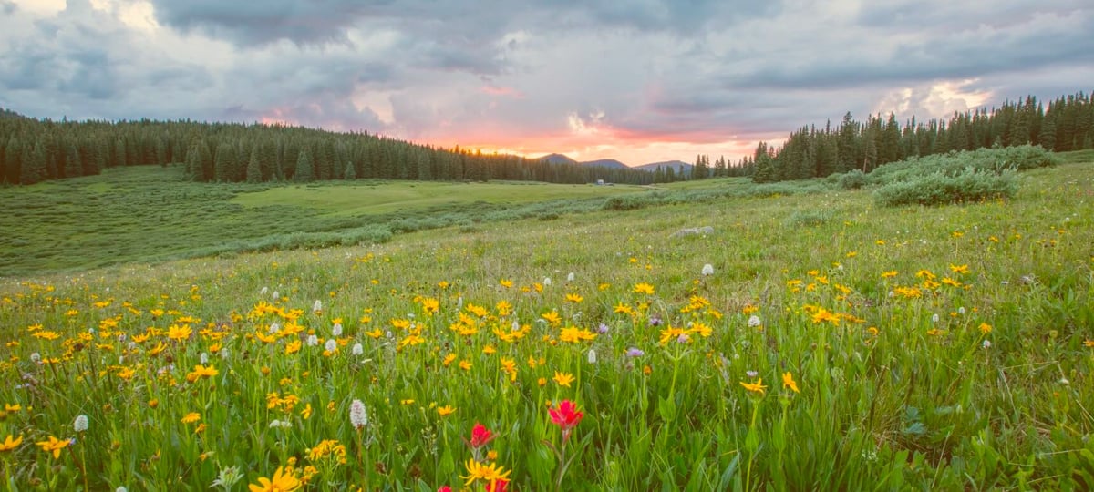 Take Your Home Office Outside Once a Week | X-Team