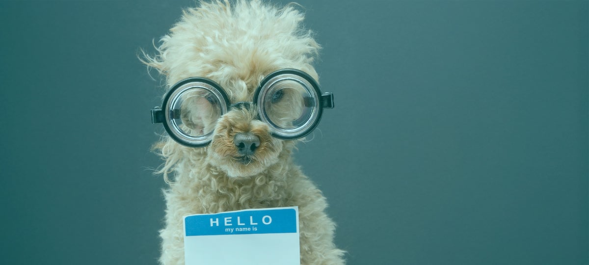 Empathy, Clarity, and Connection: Re-Imagine Developer Onboarding