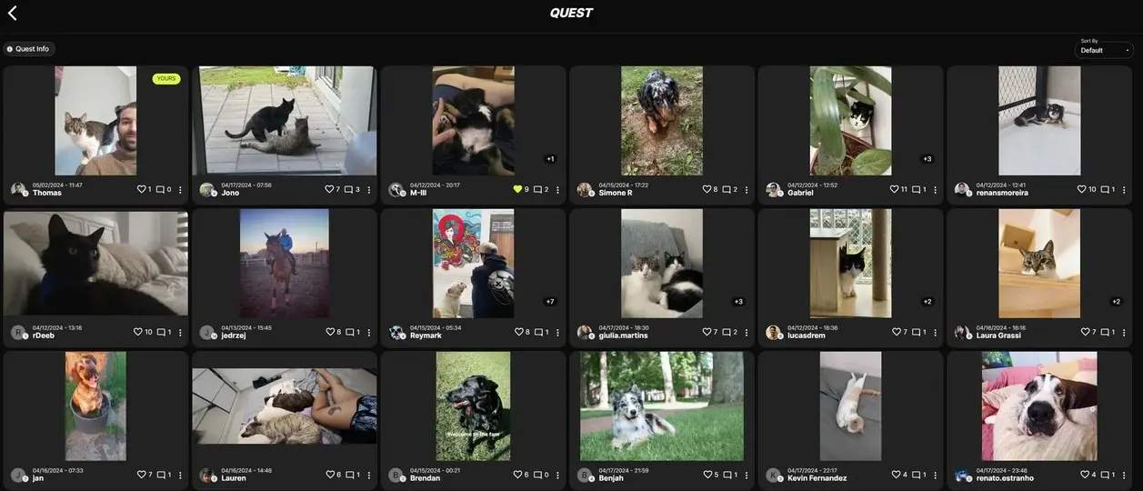 Video call sharing pictures of employees' pets